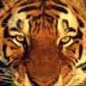 Toni Ray profil fotoğrafı