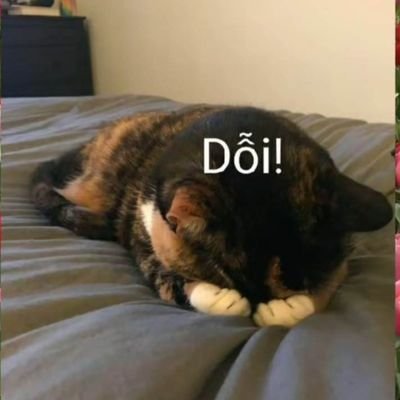 kin's profile picture