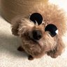 Jose_Domingos's profile picture