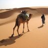 عابر سبيل's profile picture