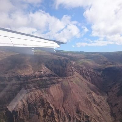 jamela_dawu's profile picture