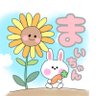 まいちゃーん🐰ྀི🥕's profile picture