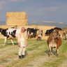Profilbild von Mehmet Akif HUT🇹🇷🌊Gezgin⛵️🐂 Çoban🐄 Mapuche🌿