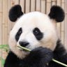 momoer 的头像
