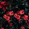 Анекоды по утрам's profile picture