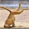 Tino The Village Boy.'s profile picture
