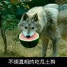Фото профиля 徐毛毛