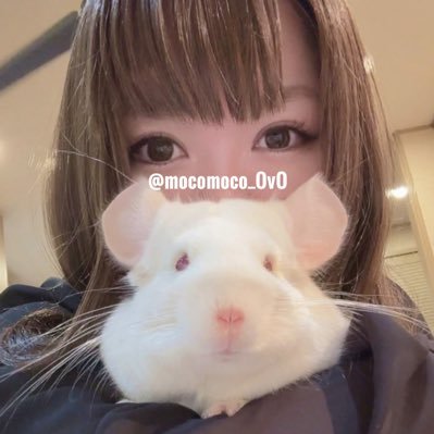 mocomoco_OvO's profile picture