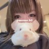Profilbild von きなこ@針村🦔