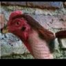 Alen B profil fotoğrafı