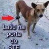 arnaldo 的头像
