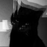 لمى.'s profile picture