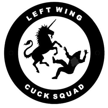 Maine Antifa's profile picture