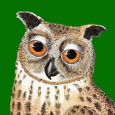 Effin' Birds's profile picture
