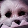 Jojo.'s profile picture