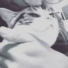 李's profile picture
