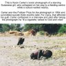 Shashi Saxena profil fotoğrafı