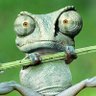 Le Caméléon Déchaîné's profile picture