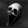 Profilbild von Madox