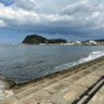 ぴぴよん 的头像