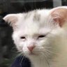 Profilbild von TC