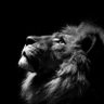 BAD KILL profil fotoğrafı