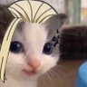 Profilbild von •nairim