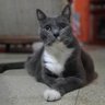 patricio cordova's profile picture