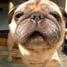 Profilbild von ike