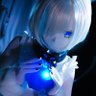 糖枫树的枫糖's profile picture