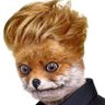 F is for Fox's profile picture