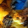 Daniel S's profile picture