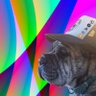 olezigaba's profile picture