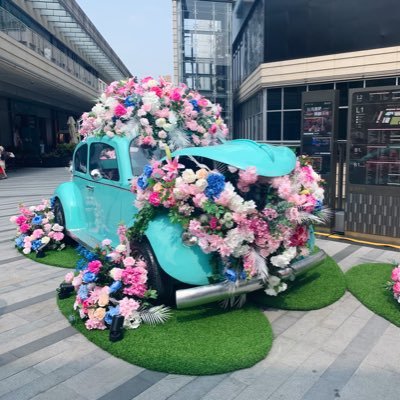 _weilan8133's profile picture