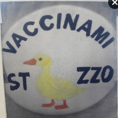 Andrea Alpini's profile picture