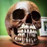 Ivan Ortiz's profile picture