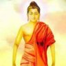 Somvir dhana 的头像