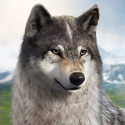 Wolfgame_JP's profile picture