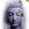 Фото профиля Santosh Meena