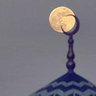 سمحان العمري's profile picture
