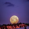 Фото профиля Moon
