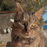 UFOhere profil fotoğrafı