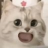 男大学生's profile picture