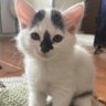 🧘🏼♀️✨🛼🍒🎵 profil fotoğrafı