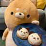 やんやん's profile picture