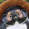 もんももんも's profile picture