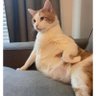 Jujuba profil fotoğrafı