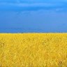 Фото профиля 浪人💙💛