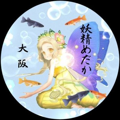 妖精めだか's profile picture