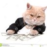 Joblife El Chato's profile picture